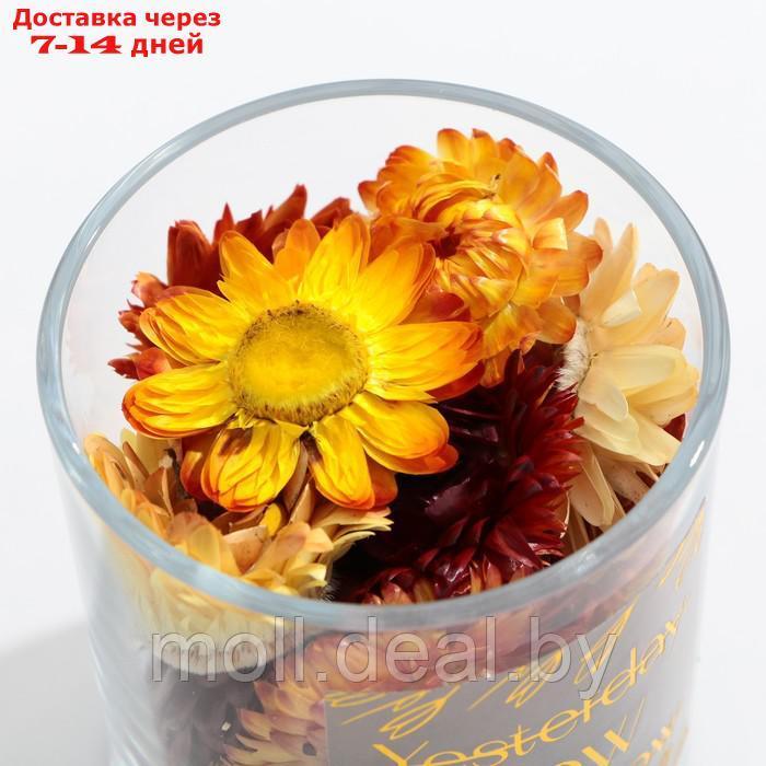 Аромамасло в наборе с сухоцветами "Sweet home", роза - фото 4 - id-p204042168