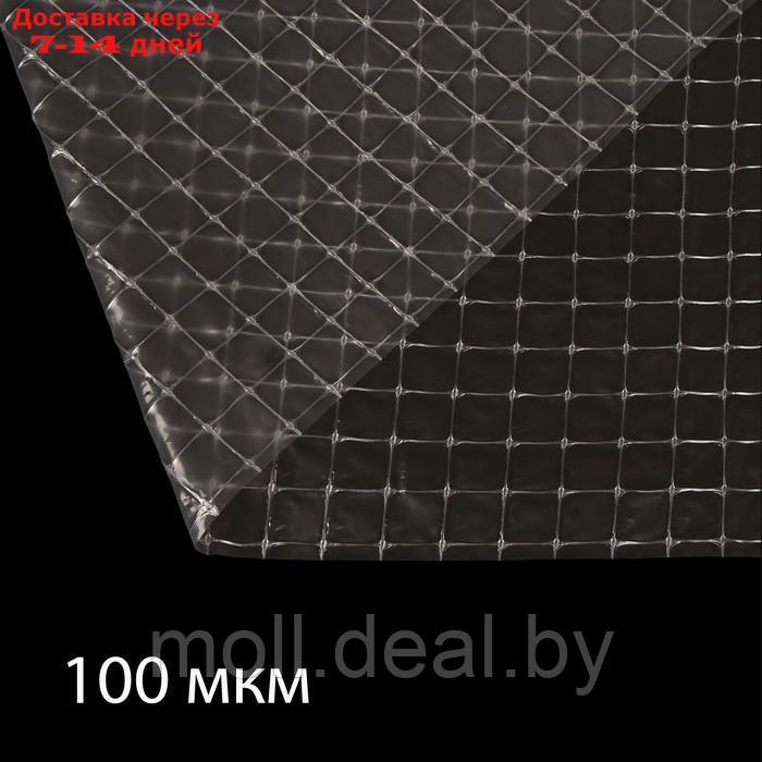 Плёнка полиэтиленовая, армированная леской, толщина 100 мкм, 10 × 2 м, УФ