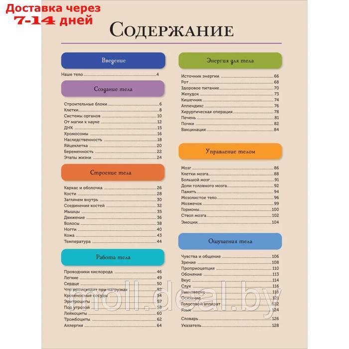 Современная энциклопедия. Тело человека - фото 4 - id-p204041386