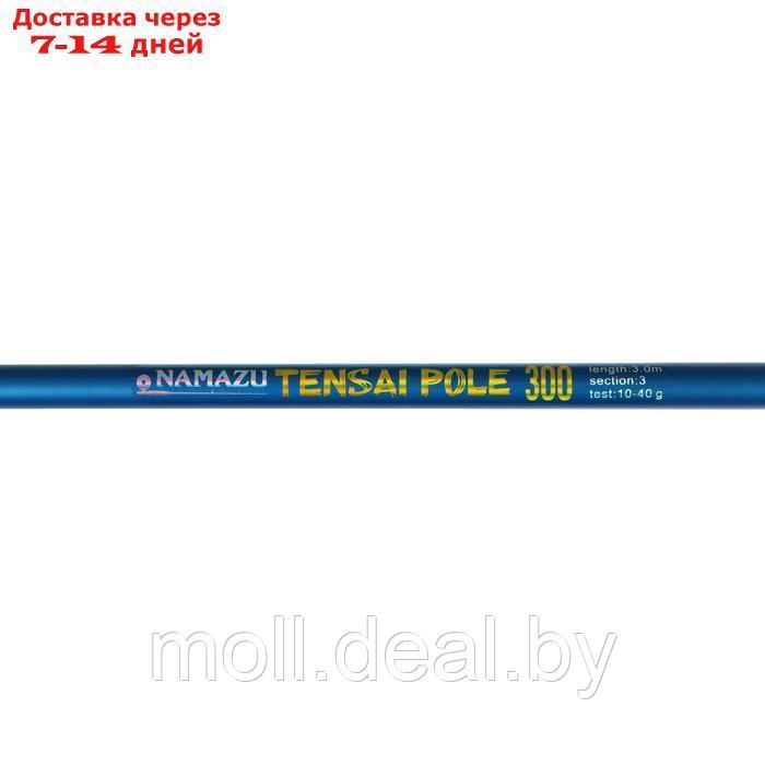 Удилище стеклопластиковое б/к NAMAZU TENSAI Pole, 3 м, тест 10-40 гр. - фото 3 - id-p204043664