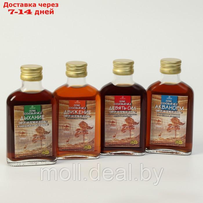 Подарочный набор сиропов Сосновый мёд, 4 шт. по 100 мл - фото 1 - id-p204042786
