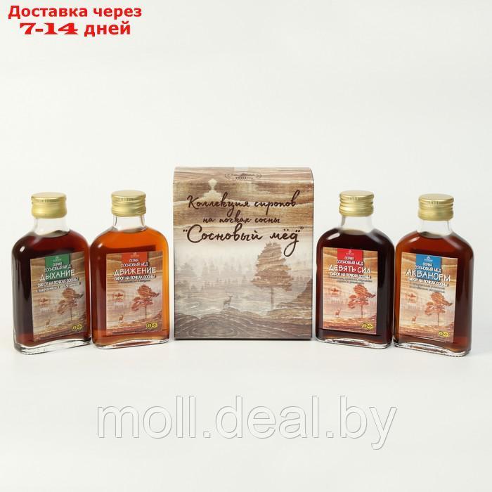 Подарочный набор сиропов Сосновый мёд, 4 шт. по 100 мл - фото 2 - id-p204042786