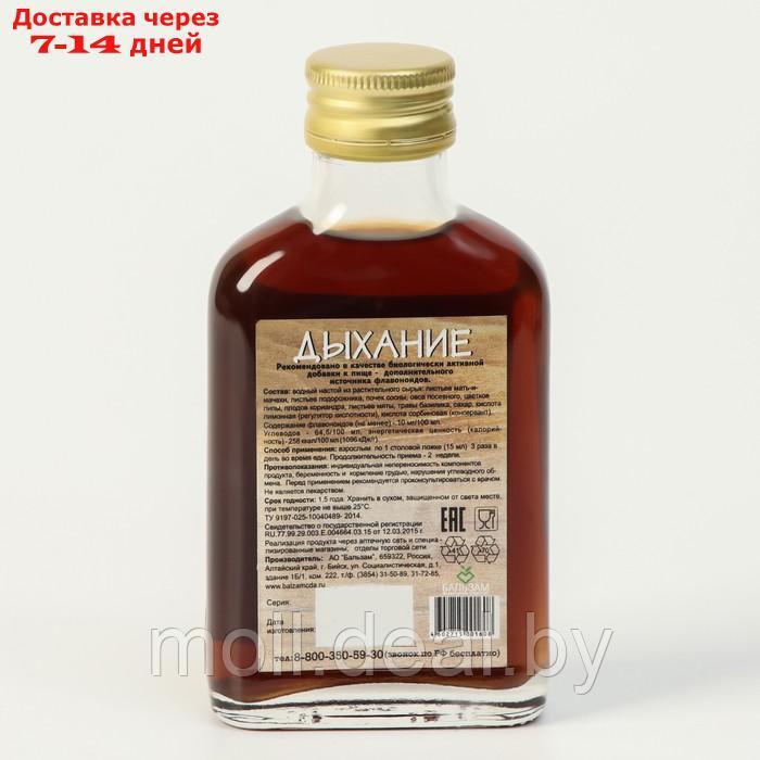 Подарочный набор сиропов Сосновый мёд, 4 шт. по 100 мл - фото 5 - id-p204042786