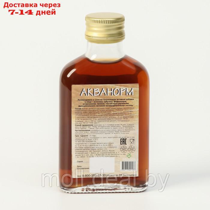 Подарочный набор сиропов Сосновый мёд, 4 шт. по 100 мл - фото 7 - id-p204042786