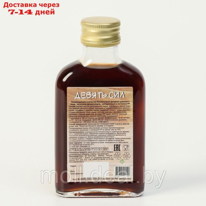 Подарочный набор сиропов Сосновый мёд, 4 шт. по 100 мл - фото 8 - id-p204042786
