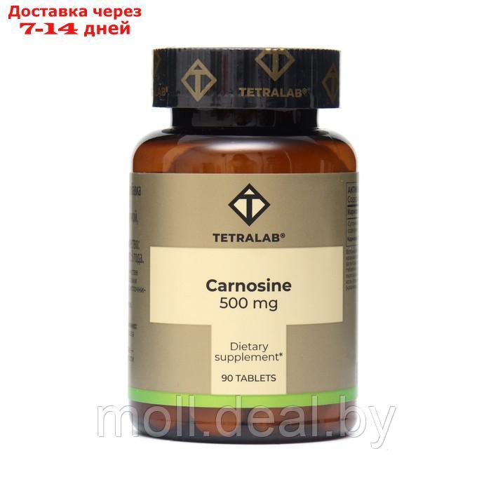 Карнозин 500 мг TETRALAB, 90 таблеток по 536 мг - фото 1 - id-p204039857