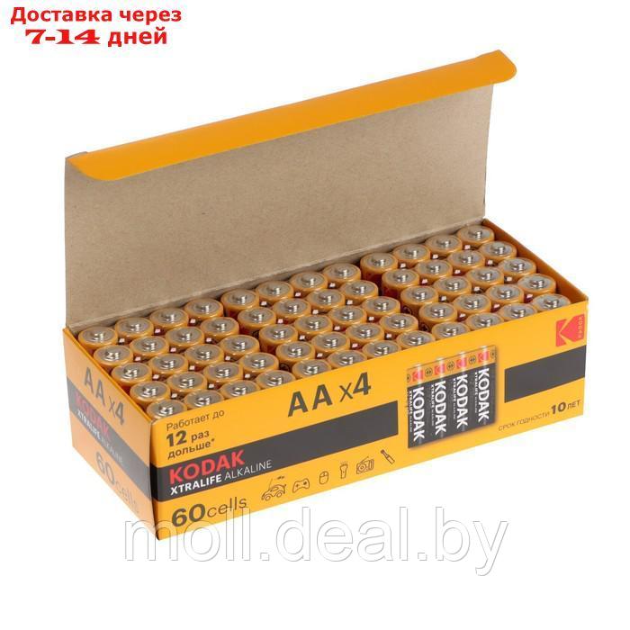 Батарейка алкалиновая Kodak Xtralife, AA, LR6-60BOX, 1.5В, бокс, 60 шт. - фото 1 - id-p204041873