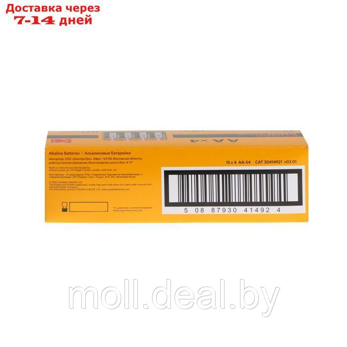Батарейка алкалиновая Kodak Xtralife, AA, LR6-60BOX, 1.5В, бокс, 60 шт. - фото 4 - id-p204041873