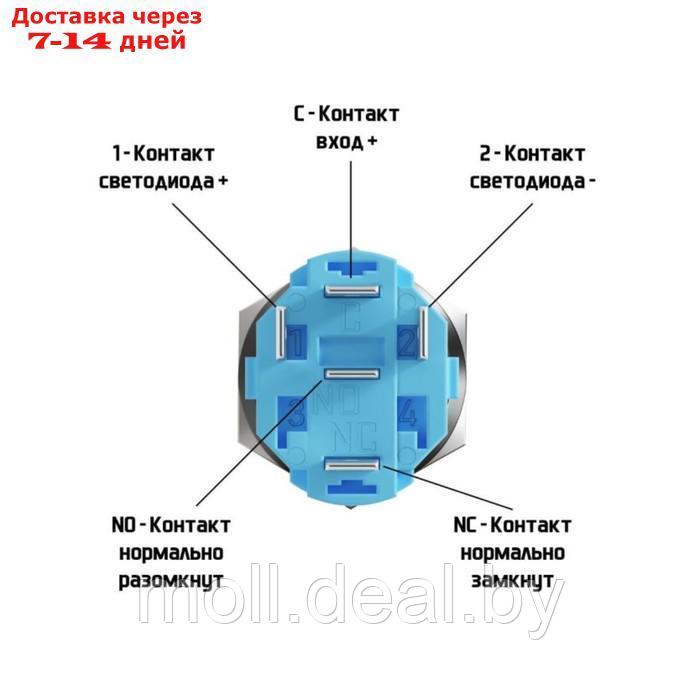 Выключатель с фиксацией, водонепроницаемая, 12 В, 3 А, 5 pin, провод 15 см, красная - фото 3 - id-p204034962