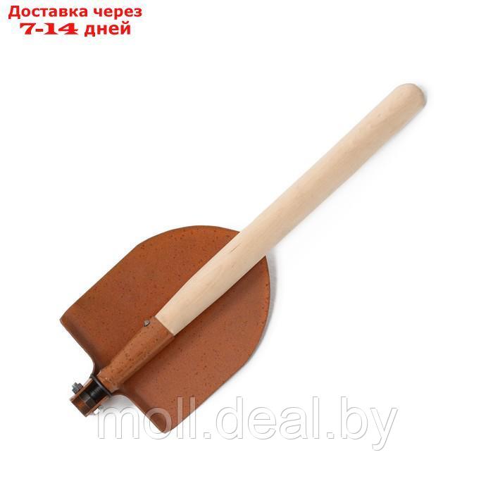Лопата туристическая, складная, L = 42,5 см, деревянный черенок, ЛС-1 - фото 5 - id-p204042945