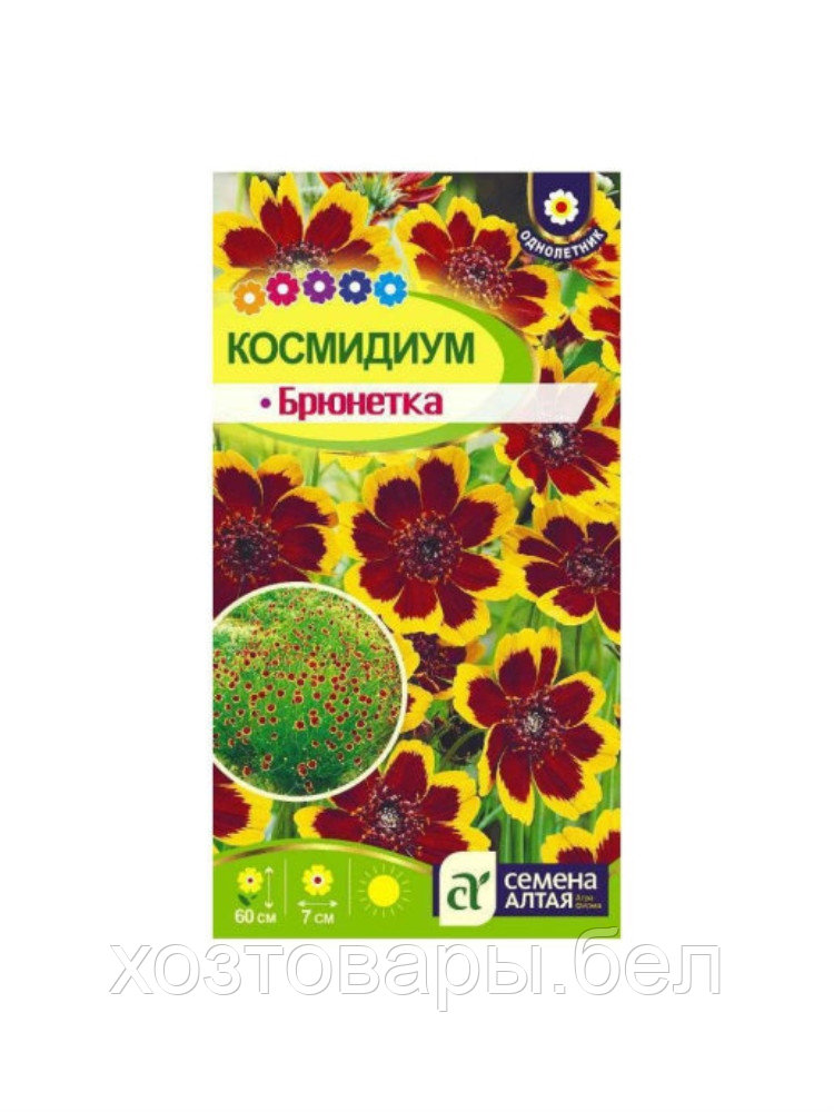 Космидиум Брюнетка 0,01г Одн 60см (Сем Алт)