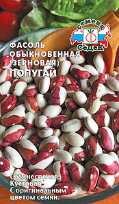 Фасоль Попугай зерновая кустовая 5г Ср (Седек): продажа, цена в Гомеле.Семена и рассада овощных культур от \