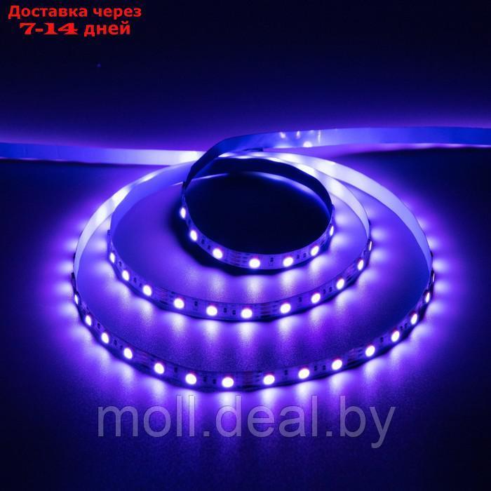 Светодиодная лента Apeyron 12В, SMD5050, 5 м, IP20, 14.4Вт/м, 60 LED/м, RGB - фото 9 - id-p204039984