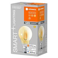 SMART+ WiFi CL A Gold DIM 53 6W/824 E27