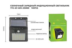 Настенный фонарь GY-6009-30SMD