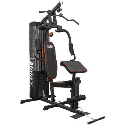 Силовой тренажер Alpin Pro Gym GX750, фото 2