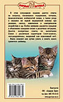 Книга «100 кошачьих «Почему». Вопросы и ответы» 125*200 мм, 192 стр., с иллюстрациями