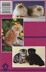 Книга «3500 кличек для вашей кошки» 125*200 мм, 32 с., с иллюстрациями