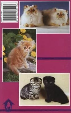 Книга «3500 кличек для вашей кошки» 125*200 мм, 32 с., с иллюстрациями - фото 1 - id-p204136999