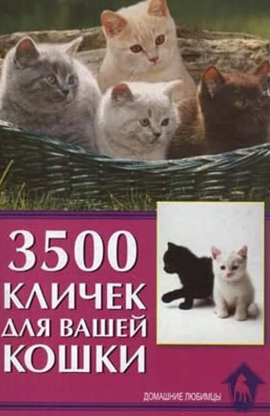 Книга «3500 кличек для вашей кошки» 125*200 мм, 32 с., с иллюстрациями - фото 3 - id-p204136999