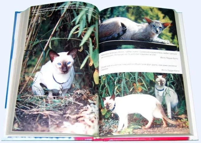 Книга «Все о сиамской кошке» 125*200 мм, 288 с., с иллюстрациями, цветными вклейками, перевод с английского - фото 2 - id-p204137004
