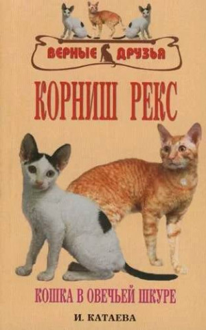 Книга «Корниш-рекс. Кошка в овечьей шкуре» 125*200 мм, 128 с., с иллюстрациями - фото 3 - id-p204137007