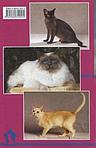 Книга «Кошки священная бирма и бурмезские» 125*200 мм, 80 с., с иллюстрациями