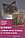 Книга «Кошки священная бирма и бурмезские» 125*200 мм, 80 с., с иллюстрациями, фото 3