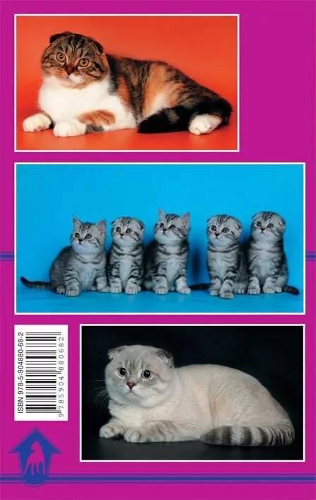 Книга «Кошки скоттиш-фолд. Стандарт. Содержание. Разведение. Выставки» 125*200 мм, 64 с., с иллюстрациями - фото 1 - id-p204137009
