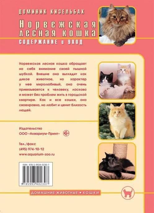 Книга «Норвежская лесная кошка. Содержание и уход» 165*240 мм, 64 с., с иллюстрациями, перевод с немецкого - фото 1 - id-p204137010