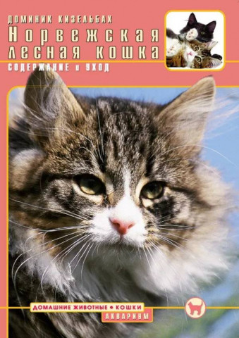 Книга «Норвежская лесная кошка. Содержание и уход» 165*240 мм, 64 с., с иллюстрациями, перевод с немецкого - фото 2 - id-p204137010