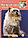 Книга «Персидская кошка. Содержание и уход» 165*240 мм, 64 с., с иллюстрациями, перевод с немецкого, фото 2