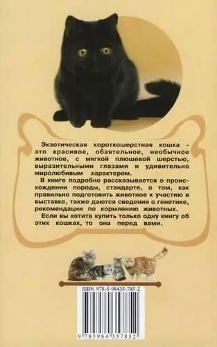 Книга «Экзотическая короткошерстная кошка. Плюшевое чудо» 125*200 мм, 112 с., с иллюстрациями - фото 1 - id-p204137028