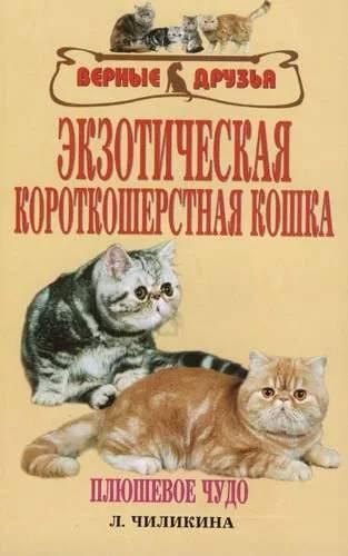 Книга «Экзотическая короткошерстная кошка. Плюшевое чудо» 125*200 мм, 112 с., с иллюстрациями - фото 3 - id-p204137028