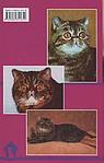 Книга «Экзотические короткошерстные кошки. Содержание, кормление, разведение, лечение» 125*200 мм, 80 с., с
