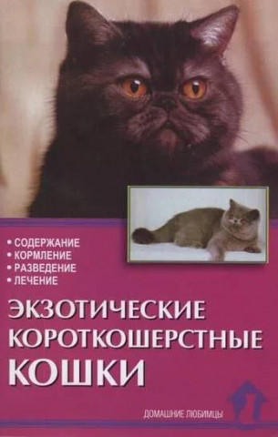 Книга «Экзотические короткошерстные кошки. Содержание, кормление, разведение, лечение» 125*200 мм, 80 с., с - фото 3 - id-p204137029