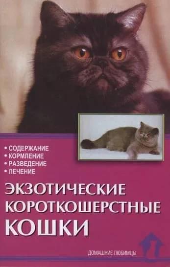 Книга «Экзотические короткошерстные кошки. Содержание, кормление, разведение, лечение» 125*200 мм, 80 с., с - фото 4 - id-p204137029