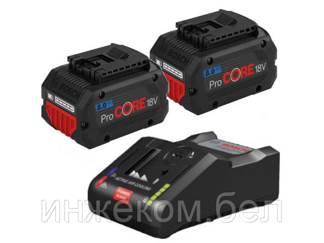 Комплект аккумулятор 18.0 В ProCORE18 V 2 шт. + зарядное устройство GAL 18V-160 C (Набор ProCORE18 V 8,0Ah 2 - фото 1 - id-p204143003