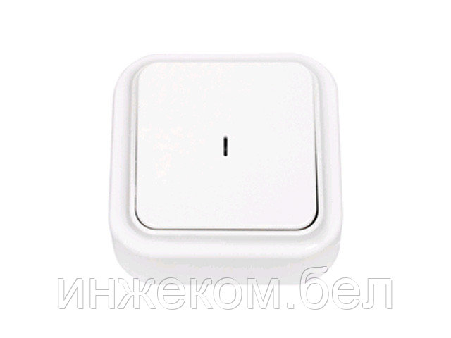 Выключатель 1 клав. (открытый, 10А) со световой индикацией, белый, Пралеска, BYLECTRICA - фото 1 - id-p204143647