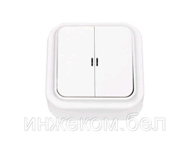 Выключатель 2 клав. (открытый, 10А) со световой индикацией, белый, Пралеска, BYLECTRICA - фото 1 - id-p204143648