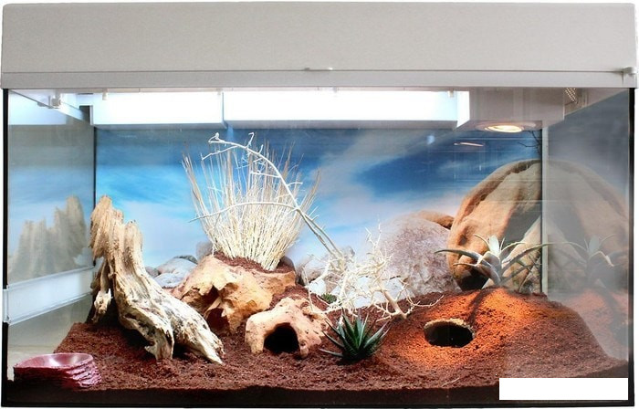 Террариум Lucky Reptile Стартовый комплект для гекконов SK50DG-W (белый)