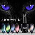 Гель-лак Voice of Kalipso Cat eye lux №01, 10мл, фото 2