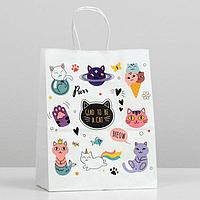 Подарочный пакет крафт «Cat's» 22 × 12 × 27 см