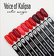 Гель-лак Voice of Kalipso №064, 10мл, фото 3