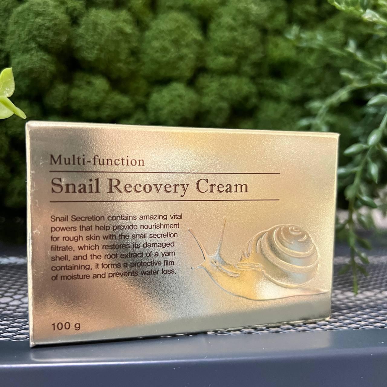 Крем с муцином улитки Deoproce Snail Recovery Cream, 100мл - фото 2 - id-p204182512