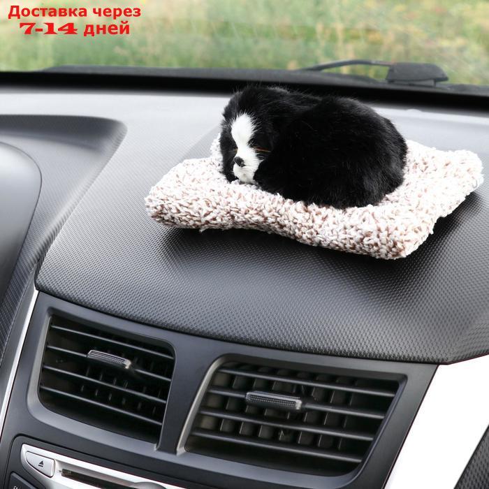 Игрушка на панель авто, собака на подушке, черный окрас - фото 2 - id-p204187284