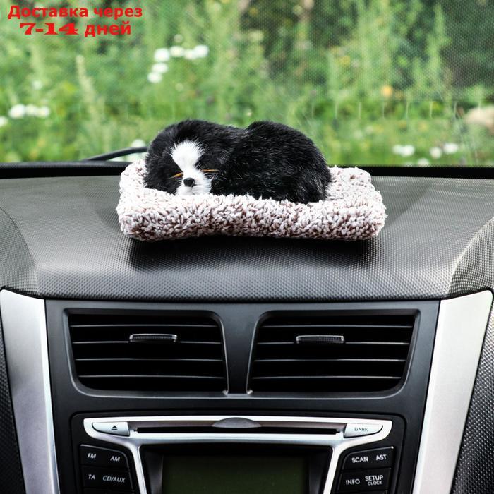 Игрушка на панель авто, собака на подушке, черный окрас - фото 3 - id-p204187284