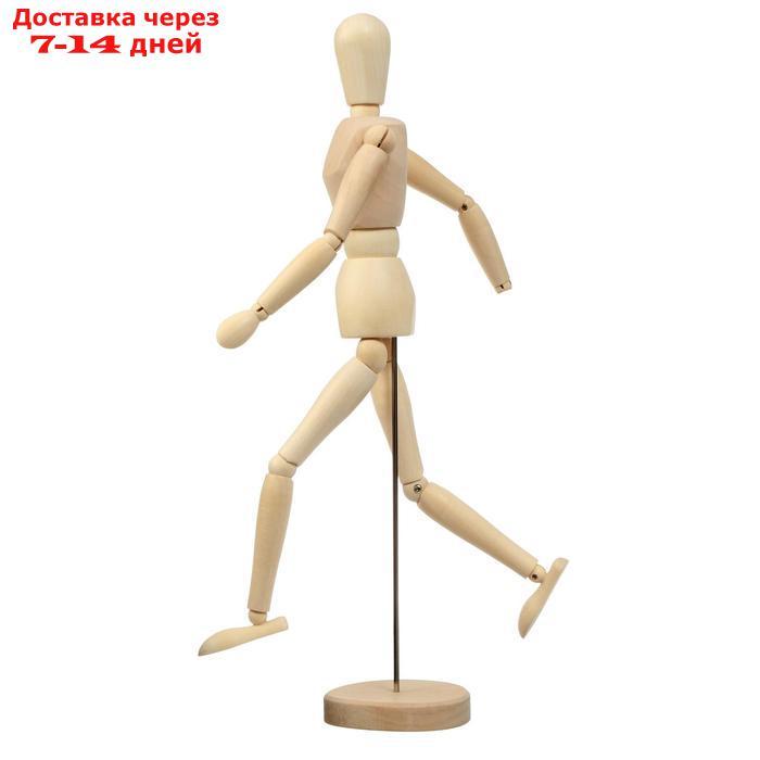 Модель деревянная Человек 41см - фото 2 - id-p204187894