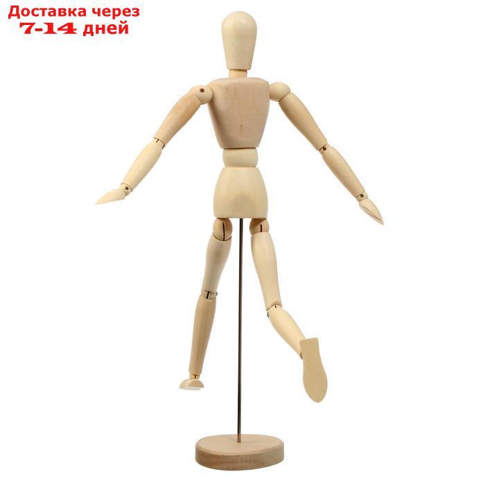 Модель деревянная Человек 41см - фото 3 - id-p204187894