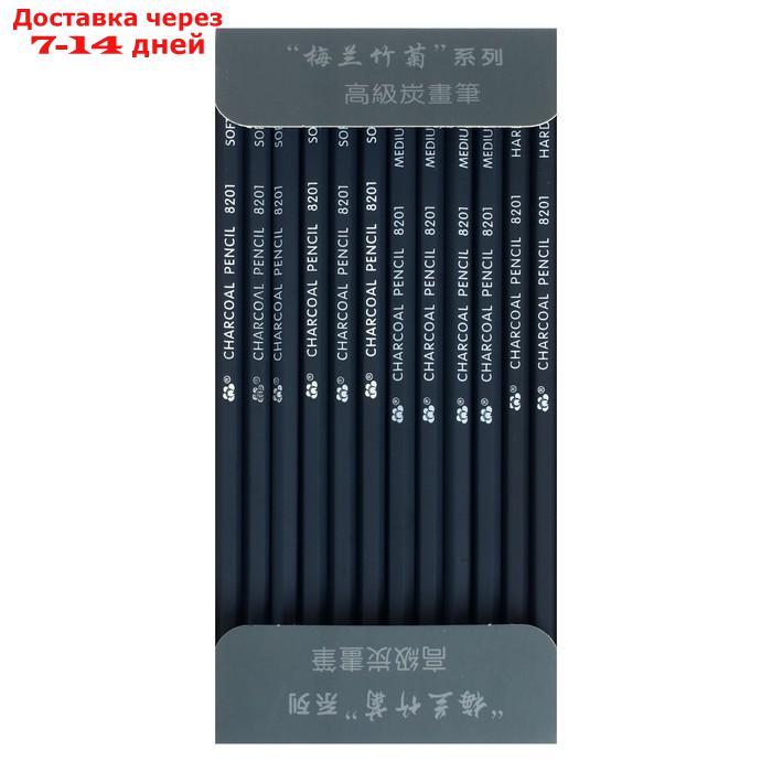 Карандаши угольные черные 12 штук в наборе (6шт-мягкий,4шт-средний,2шт-твердый) - фото 6 - id-p204187896